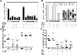 IL-17A Antibody in Neutralization (Neu)