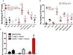 IFN gamma Antibody in Neutralization (Neu)