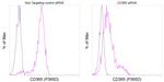 CD365 (Tim-1) Antibody