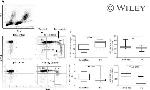 CD14 Antibody in Flow Cytometry (Flow)