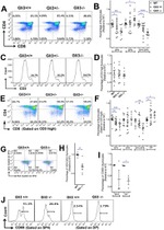 CD3e Antibody in Flow Cytometry (Flow)