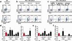 CD309 (FLK1) Antibody in Flow Cytometry (Flow)