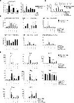 ROR gamma (t) Antibody in Flow Cytometry (Flow)