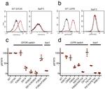 Phospho-STAT5 (Tyr694) Antibody in Flow Cytometry (Flow)