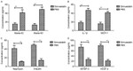 IDE Antibody