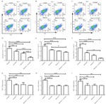 IL-17A Antibody in Flow Cytometry (Flow)