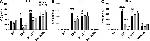 IL-8 (CXCL8) Antibody in ELISA (ELISA)