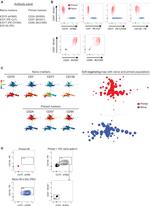 CD75 Antibody in Flow Cytometry (Flow)