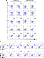 CD8a Antibody in Flow Cytometry (Flow)