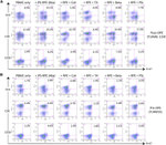 CD8a Antibody in Flow Cytometry (Flow)