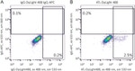 AGTR1 Antibody in Flow Cytometry (Flow)