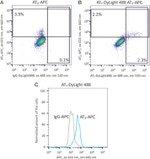 AGTR1 Antibody in Flow Cytometry (Flow)