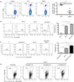 TCR V alpha 2 Antibody in Flow Cytometry (Flow)