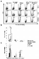 CD133 (Prominin-1) Antibody in Flow Cytometry (Flow)