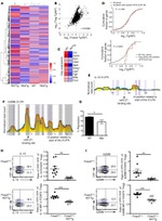 IL-10 Antibody in Flow Cytometry (Flow)