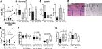 FOXP3 Antibody in Immunohistochemistry (IHC)