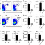 CD117 (c-Kit) Antibody in Flow Cytometry (Flow)