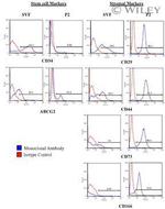 ITGB1 Antibody in Flow Cytometry (Flow)