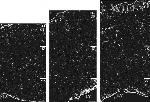 Connexin 26 Antibody in Immunohistochemistry (IHC)