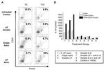 CD4 Antibody