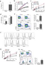 CD45 Antibody in Flow Cytometry (Flow)