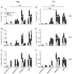 CD8 Antibody in Flow Cytometry (Flow)