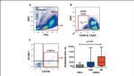 CD45 Antibody in Flow Cytometry (Flow)