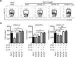 IL-17A Antibody in Flow Cytometry (Flow)