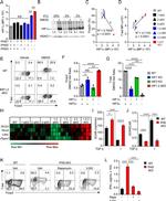 T-bet Antibody in Flow Cytometry (Flow)