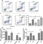 CD3 Antibody in Flow Cytometry (Flow)