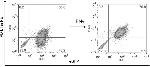 CD274 (PD-L1, B7-H1) Antibody in Flow Cytometry (Flow)