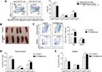 Ly-6G/Ly-6C Antibody in Flow Cytometry (Flow)