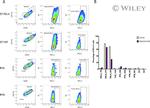 CD274 (PD-L1, B7-H1) Antibody in Flow Cytometry (Flow)