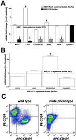 CD49f (Integrin alpha 6) Antibody in Flow Cytometry (Flow)