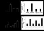 HLA-ABC Antibody in Flow Cytometry (Flow)