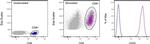 CD25 Antibody