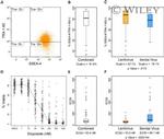 TRA-1-60 Antibody in Flow Cytometry (Flow)