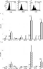 CD19 Antibody in Flow Cytometry (Flow)