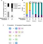 CD45.2 Antibody in Flow Cytometry (Flow)