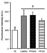 phospho-Tyrosine Antibody in Flow Cytometry (Flow)