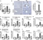 Galectin 3 Antibody in Immunohistochemistry (IHC)