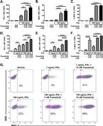 MHC Class II (I-A/I-E) Antibody in Flow Cytometry (Flow)