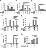 MHC Class II (I-A/I-E) Antibody in Flow Cytometry (Flow)