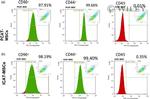 CD44 Antibody in Flow Cytometry (Flow)