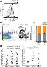 IgD Antibody in ELISA (ELISA)