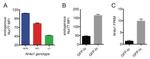 Nur77 Antibody in Flow Cytometry (Flow)