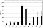 IL-2 Antibody