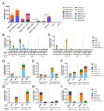 TNF alpha Antibody in Flow Cytometry (Flow)