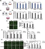 TNF alpha Antibody in Neutralization (Neu)