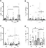 TNF alpha Antibody in Flow Cytometry (Flow)